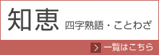 知恵に関する四字熟語・ことわざ